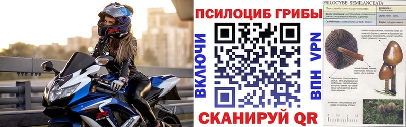 Псилоцибиновые грибы Psilocybine cubensis  Кадников 